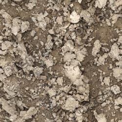 Photo Textures of Seamless Soil